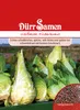 Weißkohl Filderkraut | Weißkohlsamen von Dürr Samen Produktbild-Vorschau 1