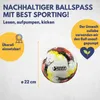 Nejlepší sportovní fotbalová dětská národní reprezentace v Náhled obrázku produktu 2