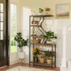A multi-tiered shelf unit filled with plants and decorative items, placed in a home entryway next to a door and window. Voir les images du produit
