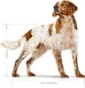 ROYAL CANIN SHN Medium Adult - droogvoer voor honden - 15 Productafbeelding-voorbeeld 15