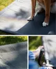 A collage of images showing a dog on an elevated pet bed, a close-up of the bed's mesh fabric, and a hand adjusting a part of the bed frame. Anteprima dell’immagine prodotto