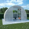 A greenhouse with plants inside, set up in a garden on a sunny day. Produktbild-Vorschau
