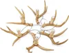 A chandelier made of deer antlers with light bulbs attached. Podgląd zdjęcia produktu