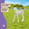 Schleich 14896 - Poulain Marwari - Horse Club Voir les images du produit 4