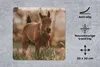MuchoWow® Mauspad Mousepad Pferd - Sonne - Gras 20x20 cm - Produktbild-Vorschau 2