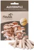 A product package for oyster mushroom cultivation, showing a picture of mushrooms and dowels for planting. Voir les images du produit