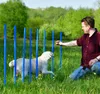 10 Agility-Slalomstangen, Agility-Profi-Set, Hunde Groß für Produktbild-Vorschau 7