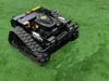 Ferngesteuerter Motor-Rasenmäher CW-500 Schwarz Produktbild-Vorschau 1