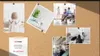 A cork bulletin board with several photos pinned to it, including a baby, a plant, a business meeting, a whiteboard session, and a cafe interior. Produktbild-Vorschau