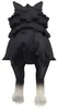 Jujutsu Kaisen Noodle Stopper PVC Statue Puchi Divine Dog: Produktbild-Vorschau 8