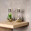 2er Set Sukkulenten Glühbirne Glas je B x H 8 x 19cm Deko Produktbild-Vorschau 6