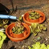 UPP Bewässerungsringe Set Aquaringe Tomaten Pflanzenringe Produktbild-Vorschau 2