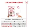 Royal Canin Chat – Trockenfutter für Mutterkatzen und Produktbild-Vorschau 18