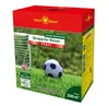 WOLF-Garten® 3821040 WOLF-Garten® PROFI LJ 100 Rasensamen Productafbeelding-voorbeeld 4