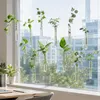 Omgoods - Reageerbuisjes voor Bloemen met Ophanglijn - 20 x Productafbeelding-voorbeeld 5