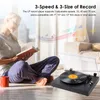Schallplatten LP Plattenspieler Retro-Plattenspieler Produktbild-Vorschau 13