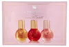 GLORIA VANDERBILT Nº 1 DISCOVERY CASE 3 Stü ck Produktbild-Vorschau 4