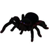 Obrovský pavúk na diaľkové ovládanie Tarantula s diaľkovým Náhľad obrázku produktu 2