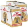 Royal Canin FBN British Shorthair Adult 24x85g Nassfutter Produktbild-Vorschau 1