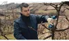 Bosch Professional 12V Akku-Pro-Astschere Pruner – Produktbild-Vorschau 10
