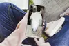 MuchoWow® Handyhülle Schutzhülle Hülle für iPhone 12 Pro Produktbild-Vorschau 3