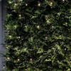 A close-up view of a string of warm white LED lights woven through the branches of a green evergreen bush. Produktbild-Vorschau