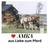 AMKA Fahrgeschirr Brustblattunterlage Geschirrunterlage Produktbild-Vorschau 5