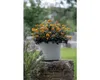 Blumentopf geli Rondo Kunststoff Ø 39 cm H 32 cm betonfarbe Produktbild-Vorschau 2