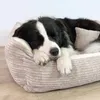 4L Textil MOLLY Hundebett aus Cord mit Rand, komplett Produktbild-Vorschau 6