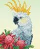 DIAMOND DOTZ® Original Diamond Painting Set White Cockatoo Produktbild-Vorschau 1