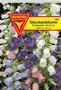 Glockenblume Prachtmischung Produktbild-Vorschau 1