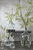 25 L Gärballon, Vase, Blumenvase Decorations Glasballon Produktbild-Vorschau 7