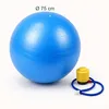 Relaxdays Gymnastikball, 75 cm, mit Luftpumpe, Anti Burst, Produktbild-Vorschau 4