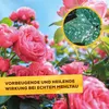 Solabiol® Netzschwefel für 37 Liter Gießwasser - 5 x 15 Produktbild-Vorschau 4