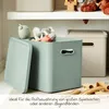 Rotho Babydesign Contenitore L Kayo 27 l Anteprima dell’immagine prodotto 4