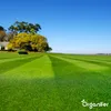 Rasen-Topdressing - Mischung mit Mykorrhiza und Produktbild-Vorschau 3