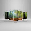 Bild auf Leinwand - Leinwandbild - Wald Blätter Sonne - Produktbild-Vorschau 3