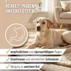 REAVET Magenmild Pulver für Hunde 500g – Für Hunde mit Produktbild-Vorschau 2