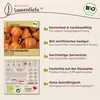 Samenliebe  Paprika Samen | Sweet Julie - orange & mini - Produktbild-Vorschau 3
