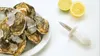 apriostriche 'presto seafood' 15 cm Anteprima dell’immagine prodotto 11