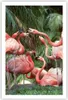 Poster - Poster ohne Rahmen - Palmen Herde Flamingos - Produktbild-Vorschau 1
