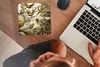 MuchoWow® Mauspad Mousepad Trochilidae - Ernst Haeckel - Produktbild-Vorschau 3