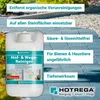 Hotrega Hof-und Wege-Reiniger 5,0 Ltr. Konzentrat Produktbild-Vorschau 6