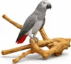 Java Multibranch L - Trespolo naturale per pappagalli Anteprima dell’immagine prodotto 3