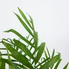 Bloomique - Chamaedorea Elegans - Palmier nain mexicain - Voir les images du produit 6