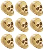 9 Totenköpfe – Halloweendeko 5 cm Produktbild-Vorschau 4