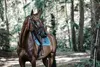 Kentucky Horsewear Pad sella da salto in velluto Pad sella Anteprima dell’immagine prodotto 4