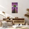 Bild auf Leinwand - Leinwandbild - Wiese lavenda Sommer Produktbild-Vorschau 7