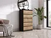 A modern living room with a chest of drawers, a chair, and a plant. Voir les images du produit