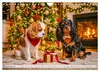 Cavalier King Charles Spaniel - Ein Jahr voller Erlebnisse Produktbild-Vorschau 14